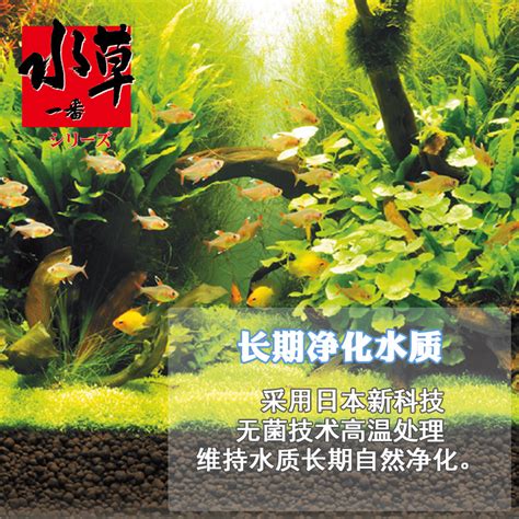 水草泥推薦|【水草泥推薦】水草泥推薦：讓水草茁壯生長的品牌與選擇秘訣